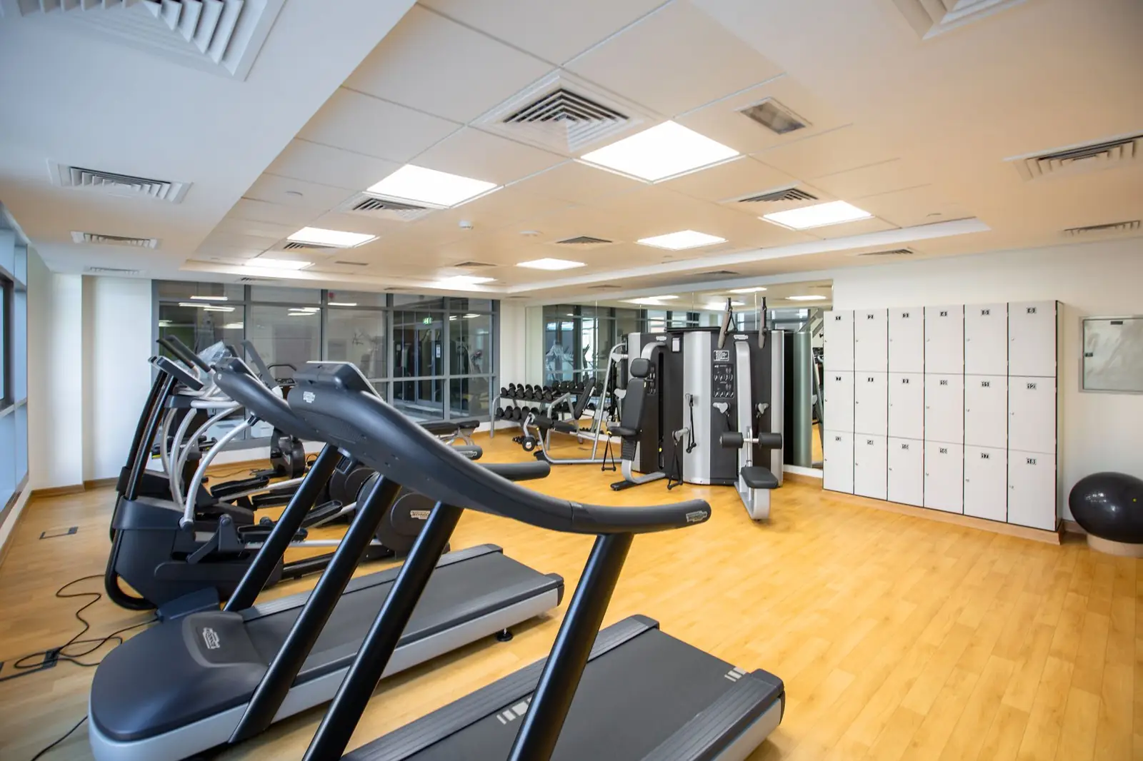 Fitness center at Feravessian Luxe House